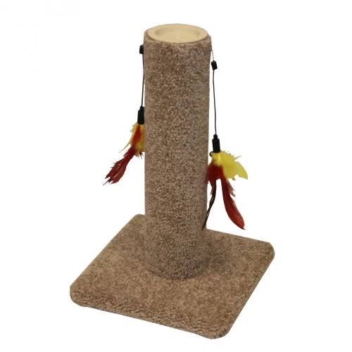    - Chicken flavor cat food  Classy Kitty Scratch Post With Feather Toy