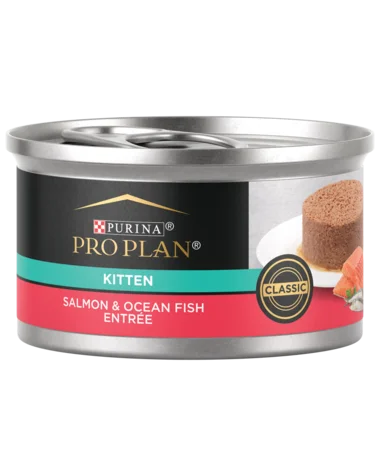    - Cat food for picky eaters  Purina Pro Plan Kitten Classic Salmon & Ocean Fish Entree Canned Cat Food