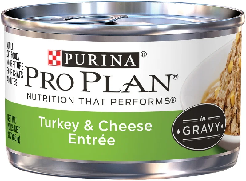    - Royal Canin cat food recommendations  Purina Pro Plan Savor Adult Turkey & Cheese in Gravy Canned Cat Food