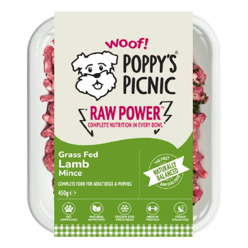 - Weight loss dog foodRAW POWER Lamb