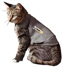    - Recommended online stores for cat food  Thundershirt Gray Polo for Cats