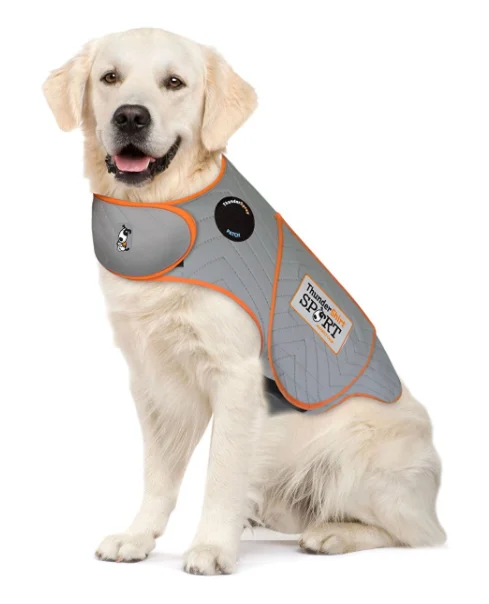 - Dog food online shopping recommendationThundershirt Sport Platinum Anxiety Solution for Dogs