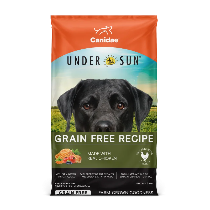 - Dog food for pregnancy and lactationCanidae Under the Sun Grain Free Adult Chicken Recipe Dry Dog Food