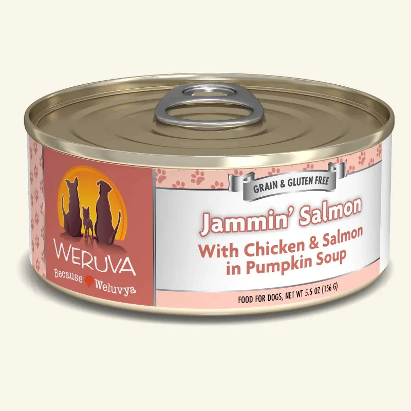 - Gastrointestinal conditioning dog foodWeruva Grain Free Dog Can Food Jammin' Salmon