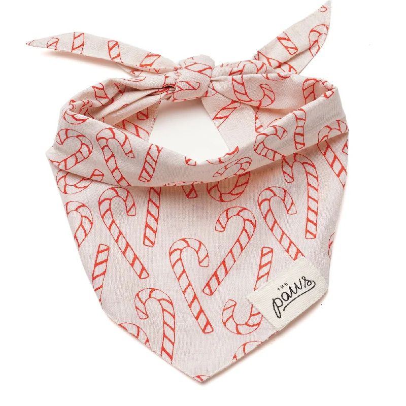 Classification by brand or style:Elfie Dog Bandana